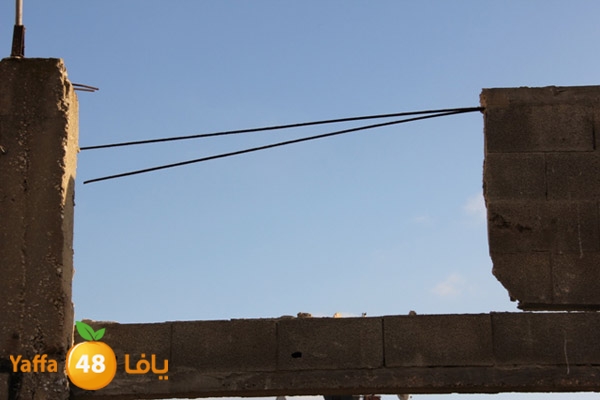 sakis family ard 826 (12).JPG